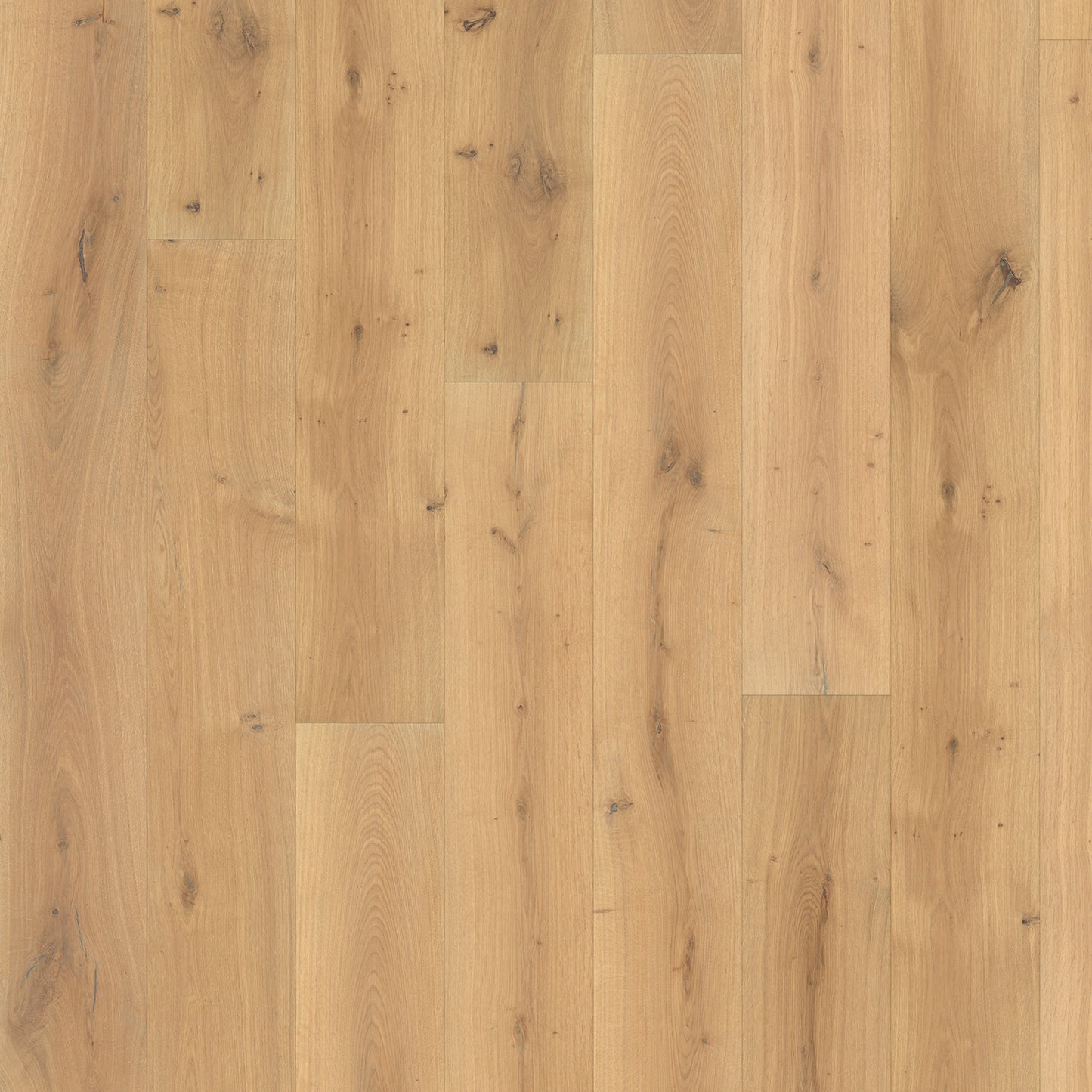 KITCHEN - ACACIA