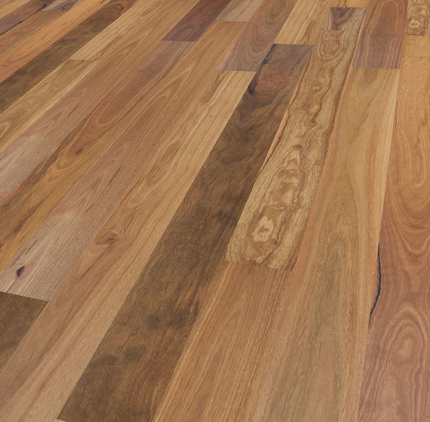 SPOTTED GUM - EUCALYPT Collection