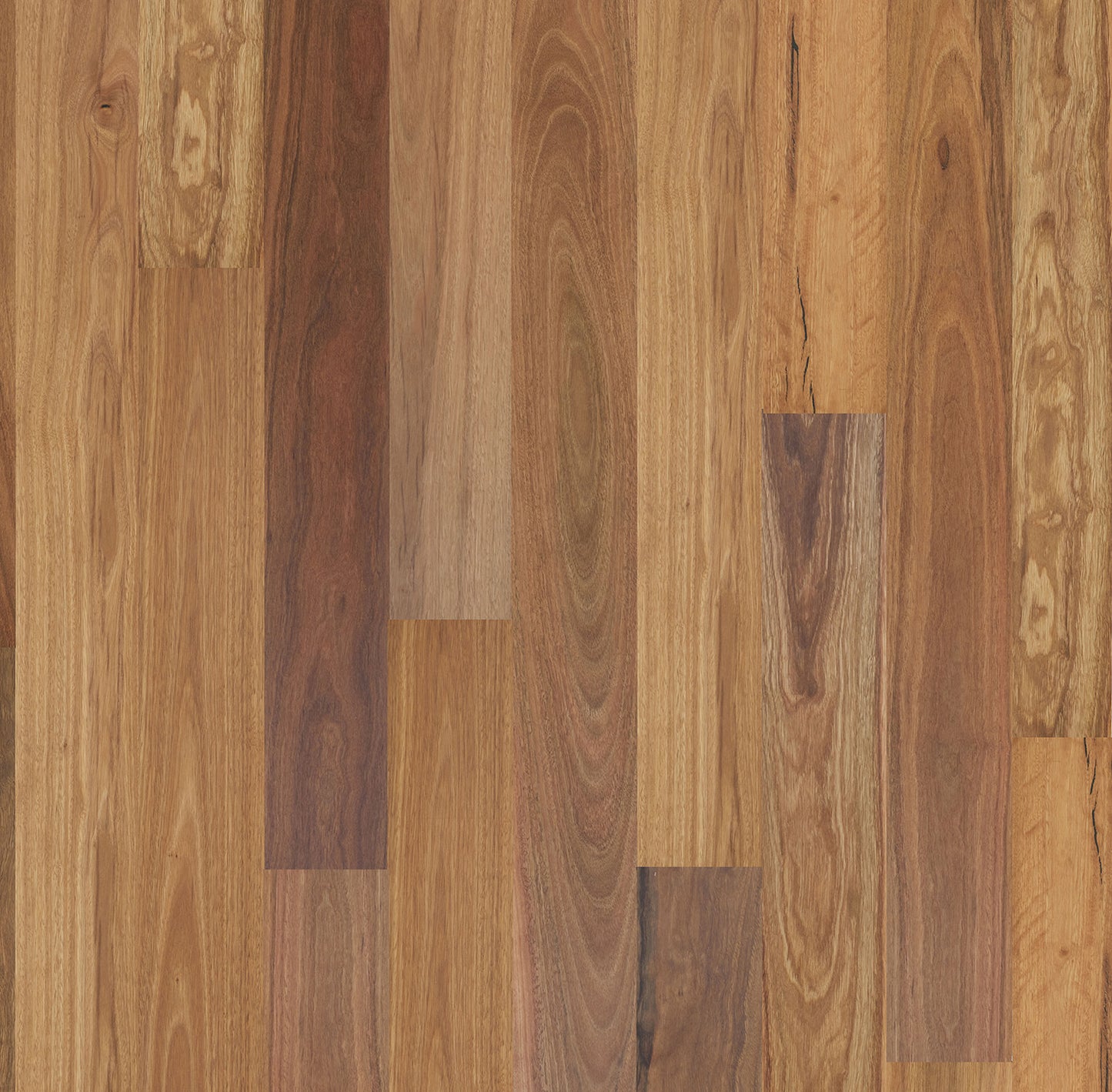 SPOTTED GUM - EUCALYPT Collection