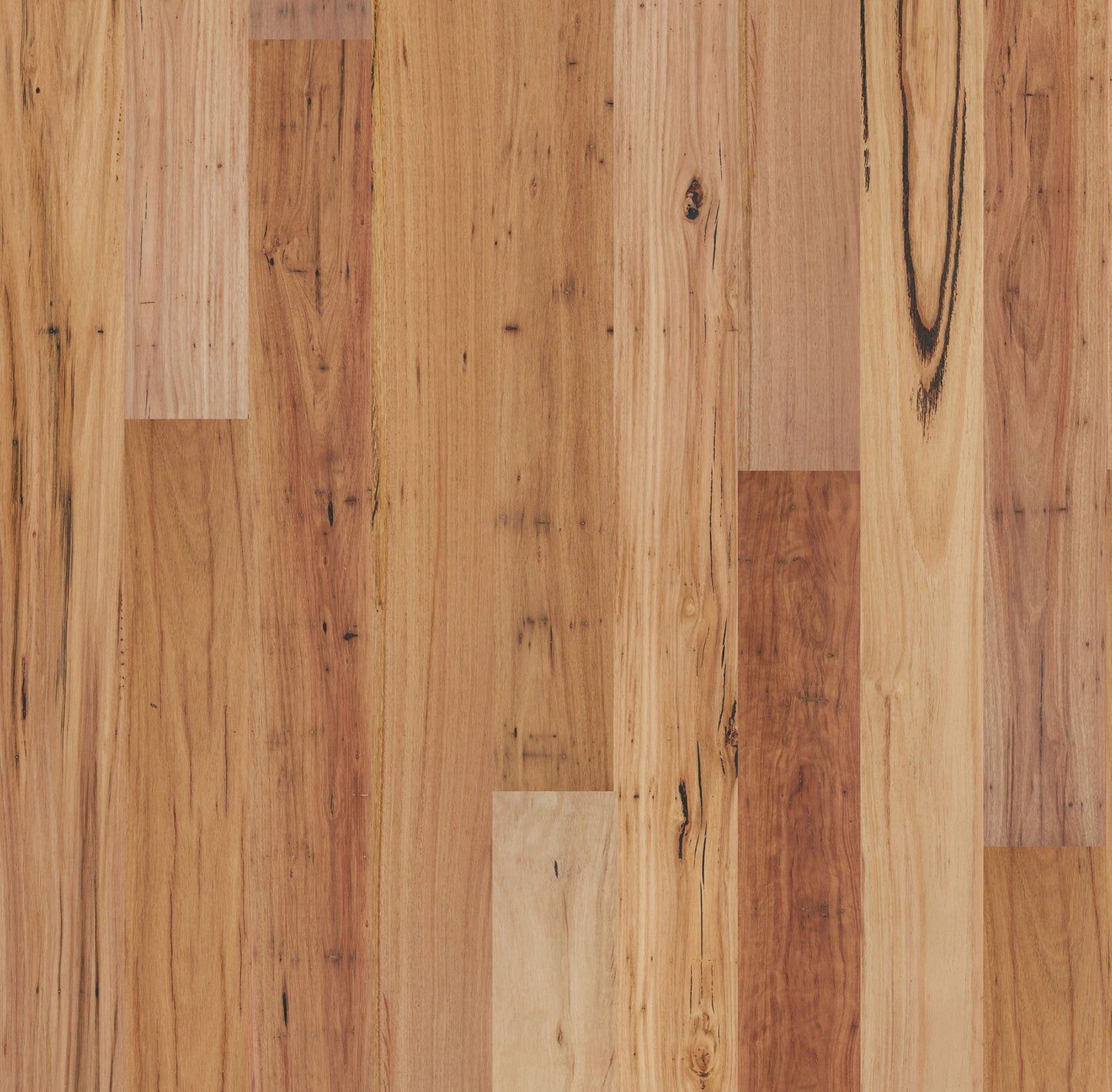 BLACKBUTT RUSTIC - EUCALYPT Collection