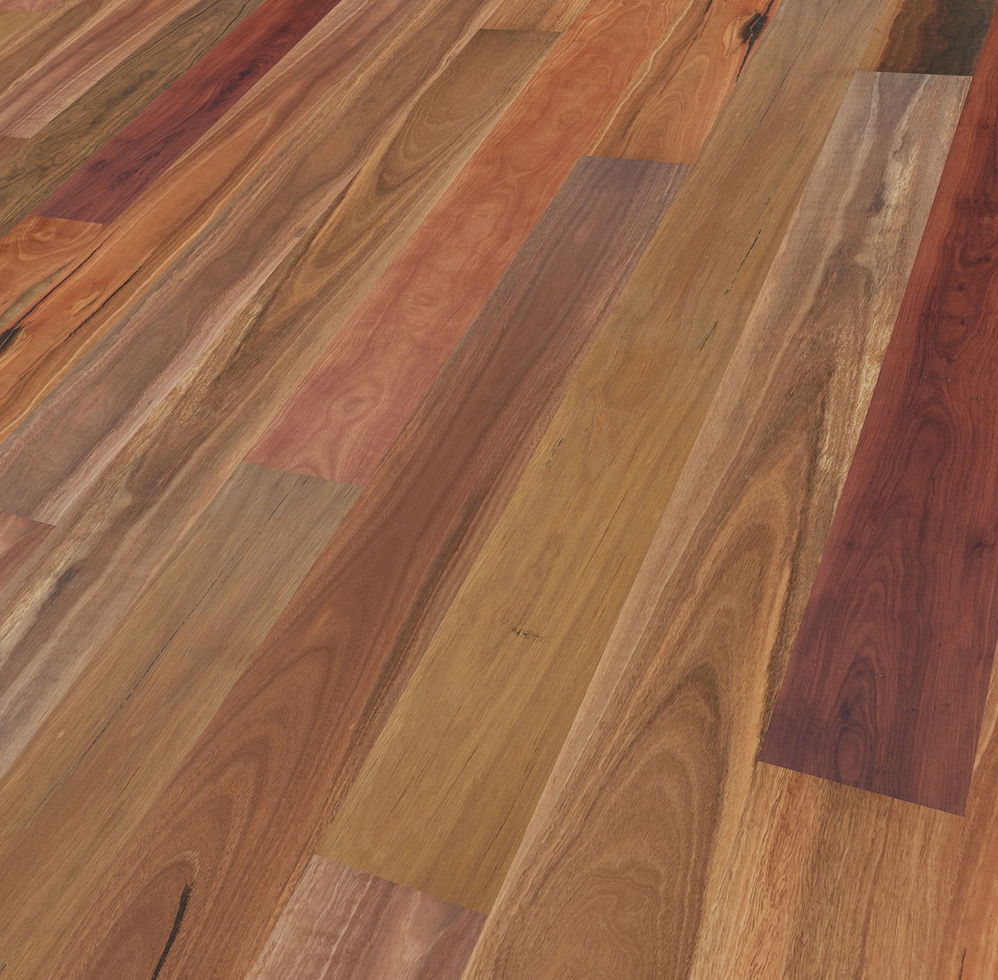 Family Area - SPOTTED GUM RUSTIC