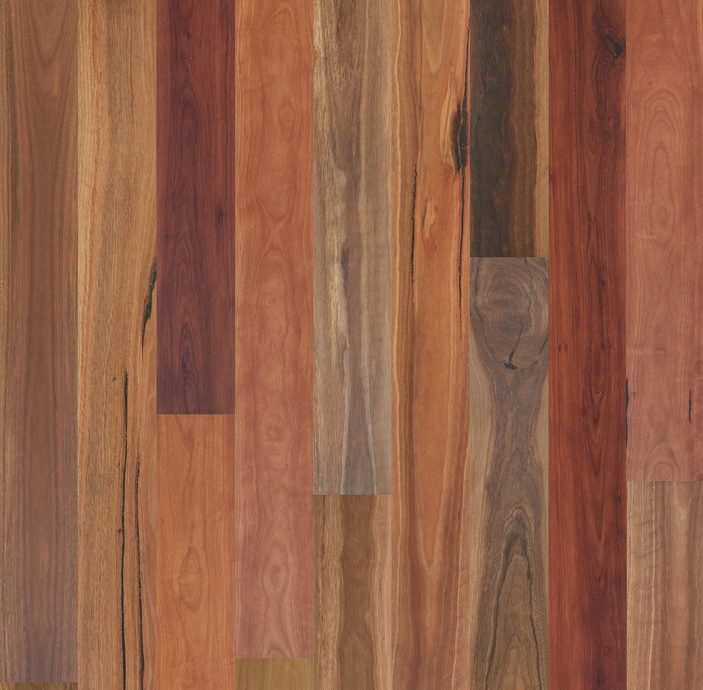 Family Area - SPOTTED GUM RUSTIC