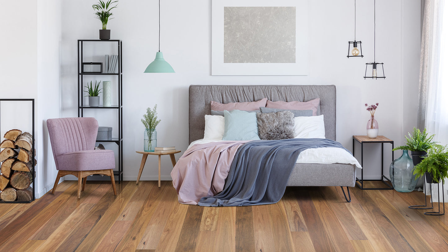 SPOTTED GUM - EUCALYPT Collection